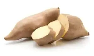 Sød Kartoffel ‘Chestnut’ Ipomoea Batatas