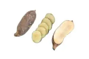 Yacon hvid