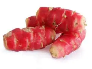 Rød Oca (Oxalis tuberosa)